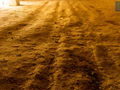 Qui sul pavimento sono ancora ben evidenti i solchi delle ruote dei carri che transitavano un tempo